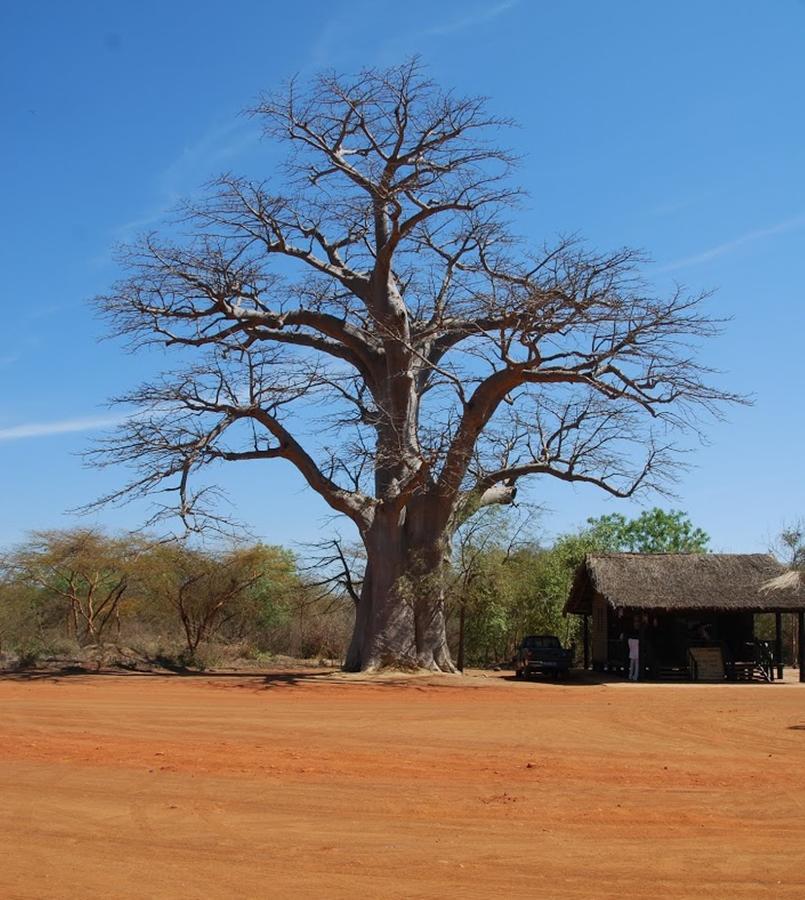 Terre D'Afrique Hotel Popenguine Exterior foto